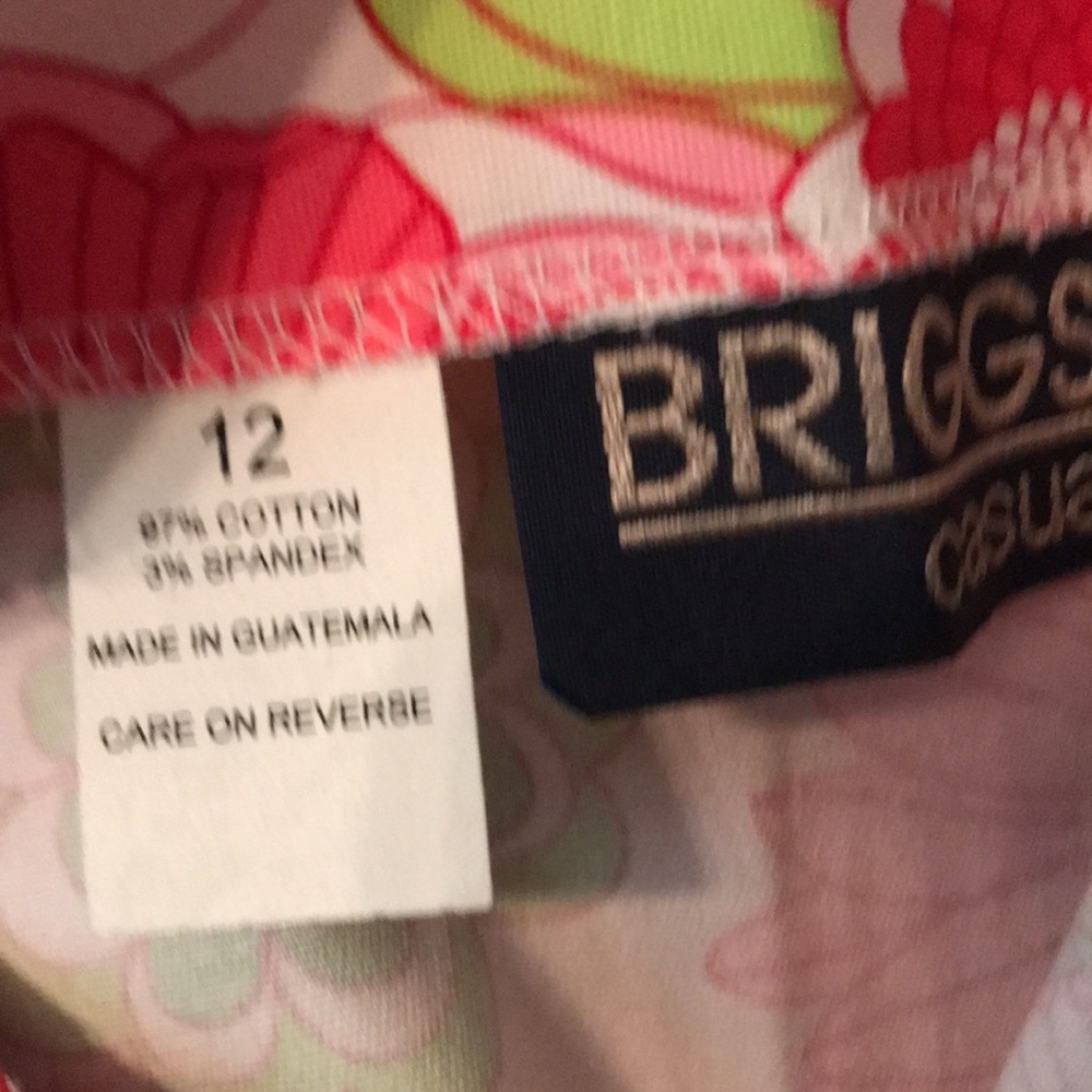 Briggs NWT Floral Skirt Size 12 - Picture 4 of 9